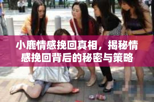 小鹿情感挽回真相,揭秘情感挽回背后的秘密与策略 小鹿情感挽回真相,揭秘情感挽回背后的秘密与策略