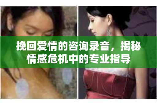 挽回爱情的咨询录音，揭秘情感危机中的专业指导