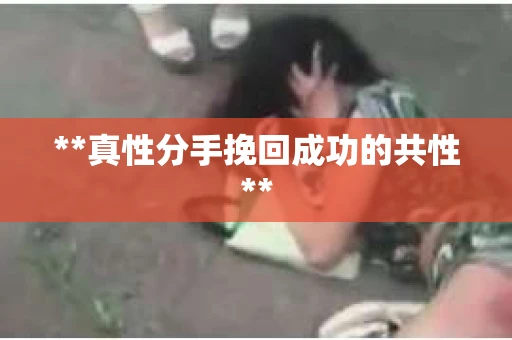 **真性分手挽回成功的共性**