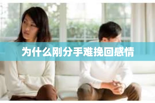 为什么刚分手难挽回感情
