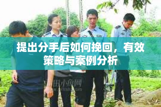 提出分手后如何挽回，有效策略与案例分析