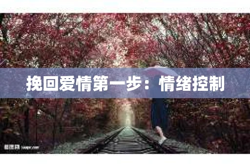 挽回爱情第一步：情绪控制