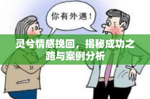 灵兮情感挽回，揭秘成功之路与案例分析