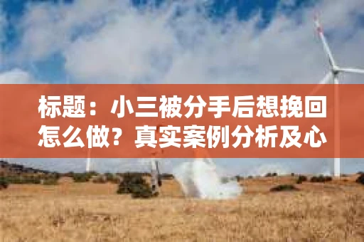 标题：小三被分手后想挽回怎么做？真实案例分析及心理建议