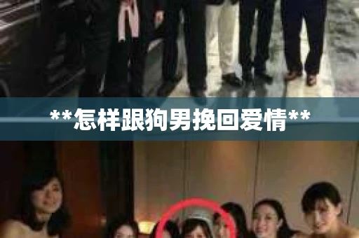 **怎样跟狗男挽回爱情**