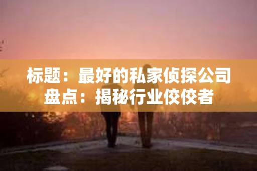 标题：最好的私家侦探公司盘点：揭秘行业佼佼者