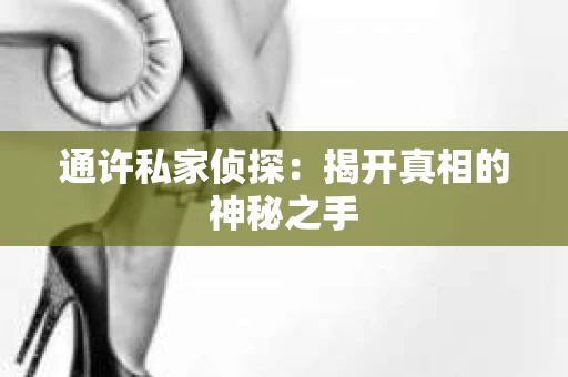通许私家侦探：揭开真相的神秘之手