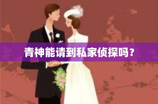 青神能请到私家侦探吗？