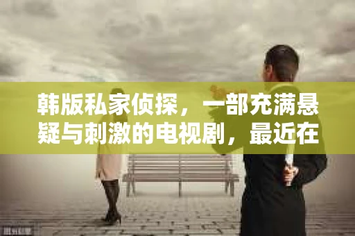 韩版私家侦探，一部充满悬疑与刺激的电视剧，最近在网络上引起了广泛关注。很多朋友都在询问，韩版私家侦探免费观看中文的资源在哪里可以找到。今天，我就来和大家聊聊这个话题。