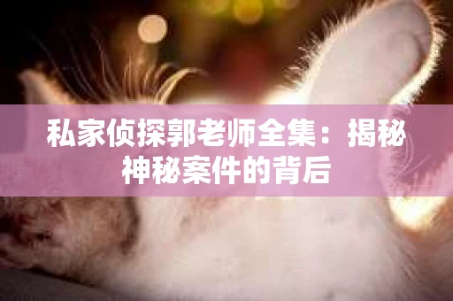 私家侦探郭老师全集：揭秘神秘案件的背后