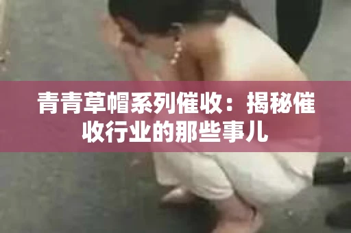 青青草帽系列催收：揭秘催收行业的那些事儿
