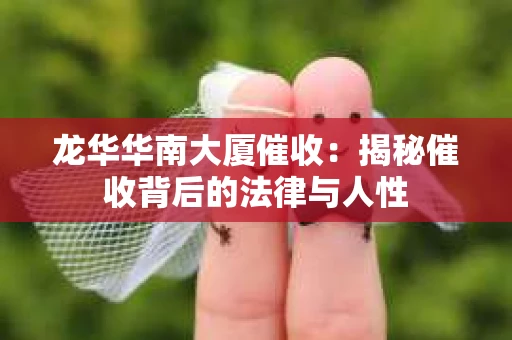 龙华华南大厦催收：揭秘催收背后的法律与人性