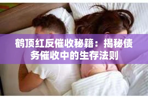 鹤顶红反催收秘籍：揭秘债务催收中的生存法则
