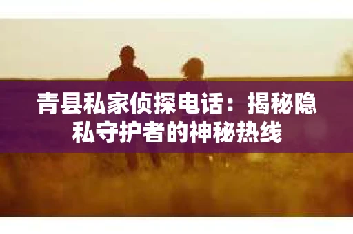 青县私家侦探电话：揭秘隐私守护者的神秘热线