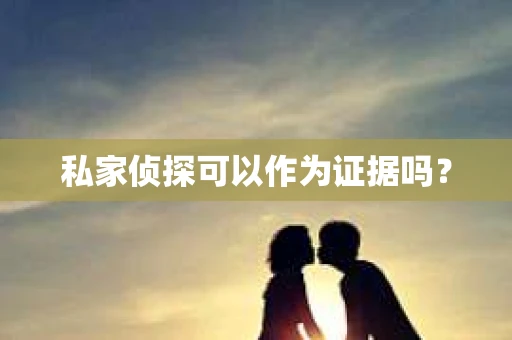 私家侦探可以作为证据吗？