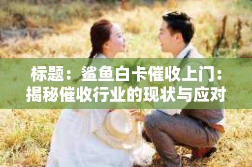 标题：鲨鱼白卡催收上门：揭秘催收行业的现状与应对策略