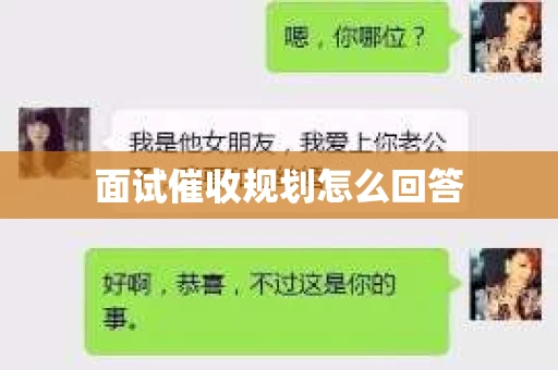 面试催收规划怎么回答