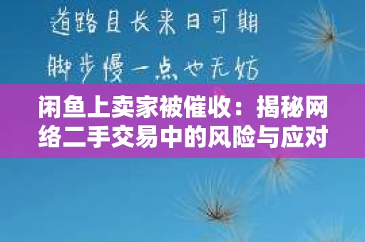 闲鱼上卖家被催收：揭秘网络二手交易中的风险与应对