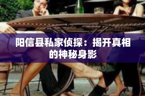 阳信县私家侦探：揭开真相的神秘身影
