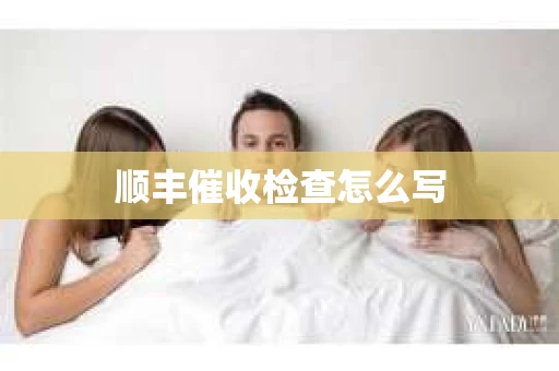顺丰催收检查怎么写