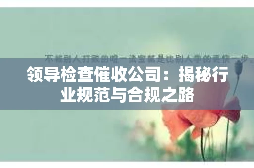 领导检查催收公司：揭秘行业规范与合规之路