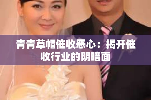 青青草帽催收恶心：揭开催收行业的阴暗面