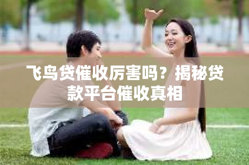飞鸟贷催收厉害吗？揭秘贷款平台催收真相
