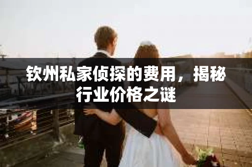 钦州私家侦探的费用，揭秘行业价格之谜