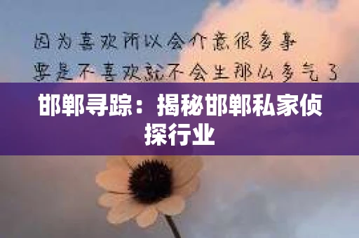 邯郸寻踪：揭秘邯郸私家侦探行业