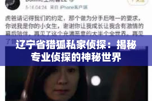 辽宁省猎狐私家侦探：揭秘专业侦探的神秘世界