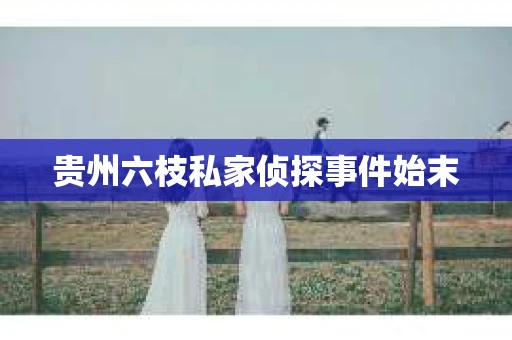贵州六枝私家侦探事件始末