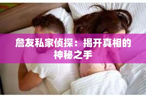 詹友私家侦探：揭开真相的神秘之手