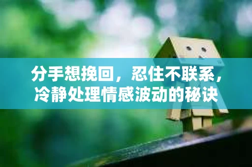 分手想挽回，忍住不联系，冷静处理情感波动的秘诀