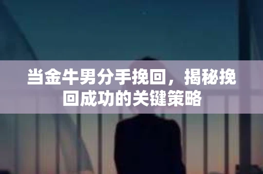 当金牛男分手挽回，揭秘挽回成功的关键策略